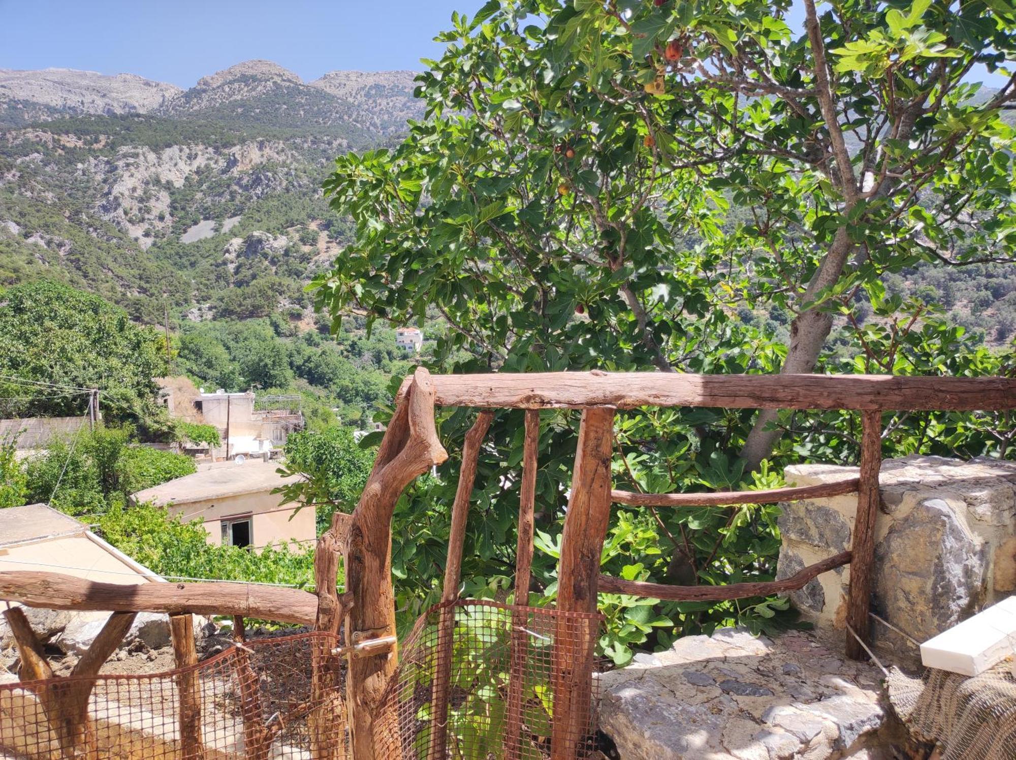 Kato Symi House Kato Simi Exterior foto